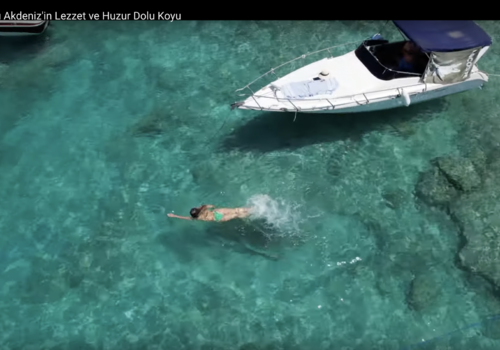 Bilder aus der Region