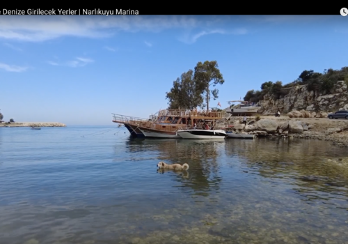 Bilder aus der Region