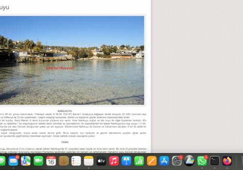 Information Narlikuyu