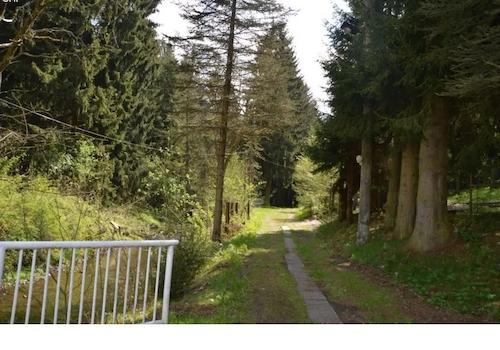 Zugang zum Flachbau im Wald