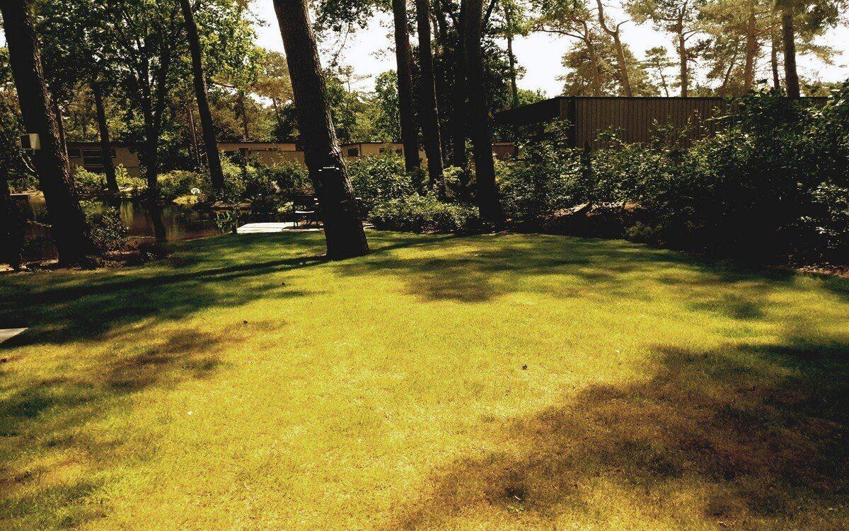 Ferienhaus Holland kaufen 008