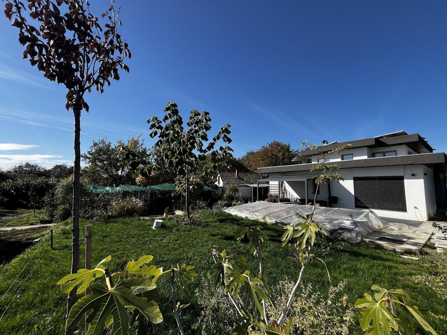 ingatlan-1729507323_26