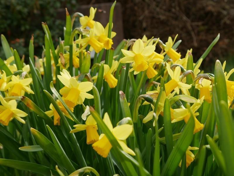 Frühling!