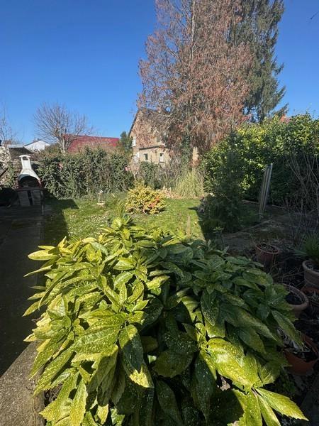 6 Außenbereich (6)