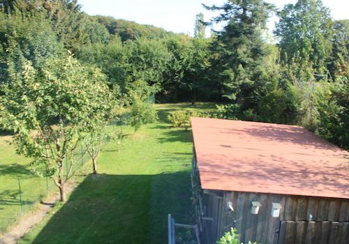 Blick in den Garten