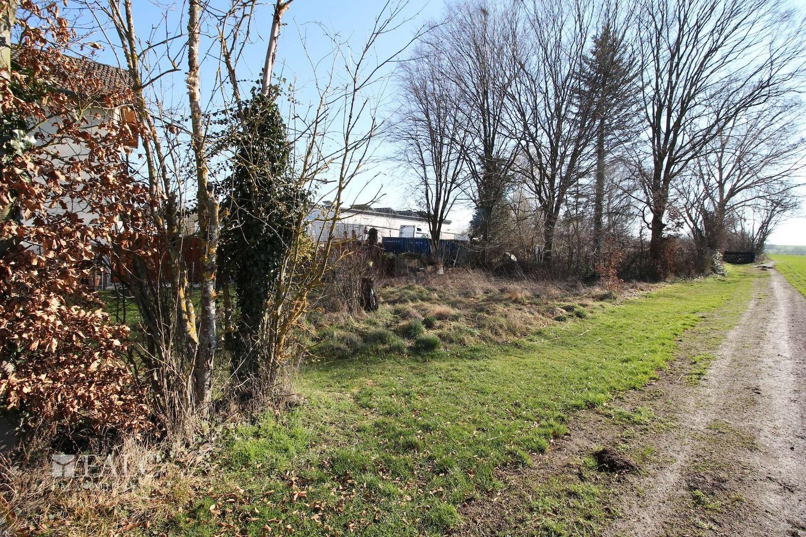 Hinteres Grundstück