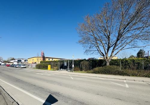 Blick Zufahrt Grundstück Bild 2