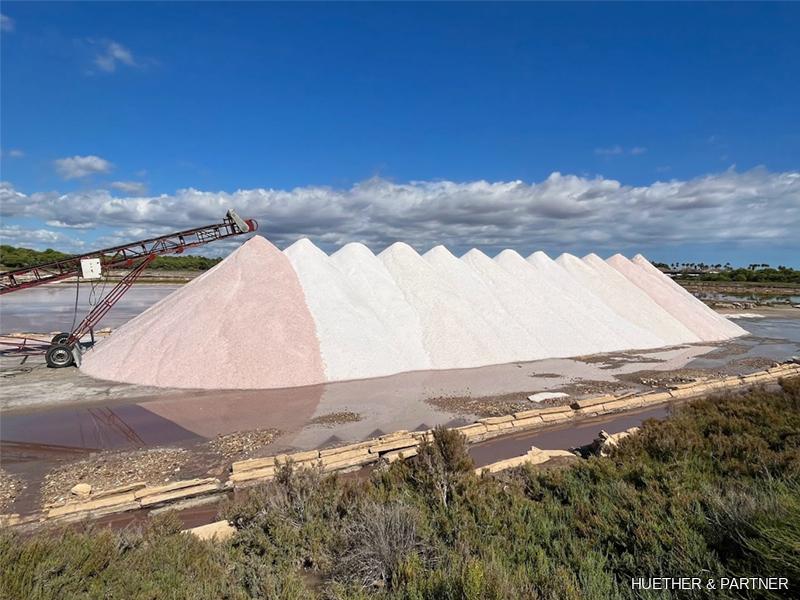 Salz de Ses Salines