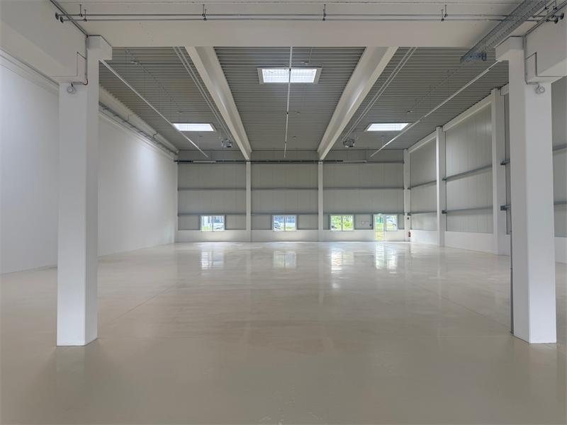 Halle1