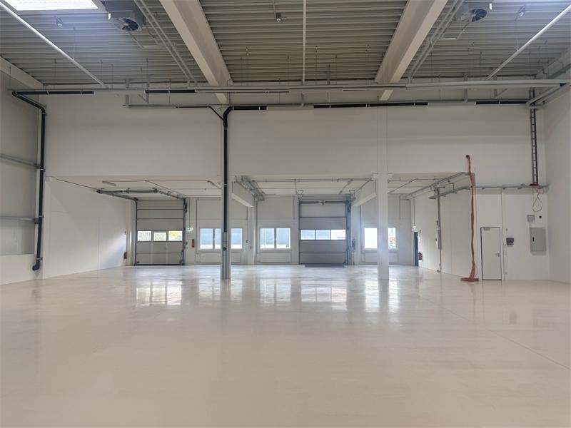 Halle3