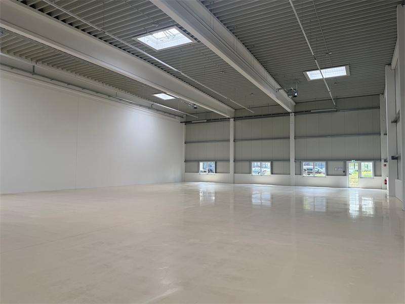Halle6