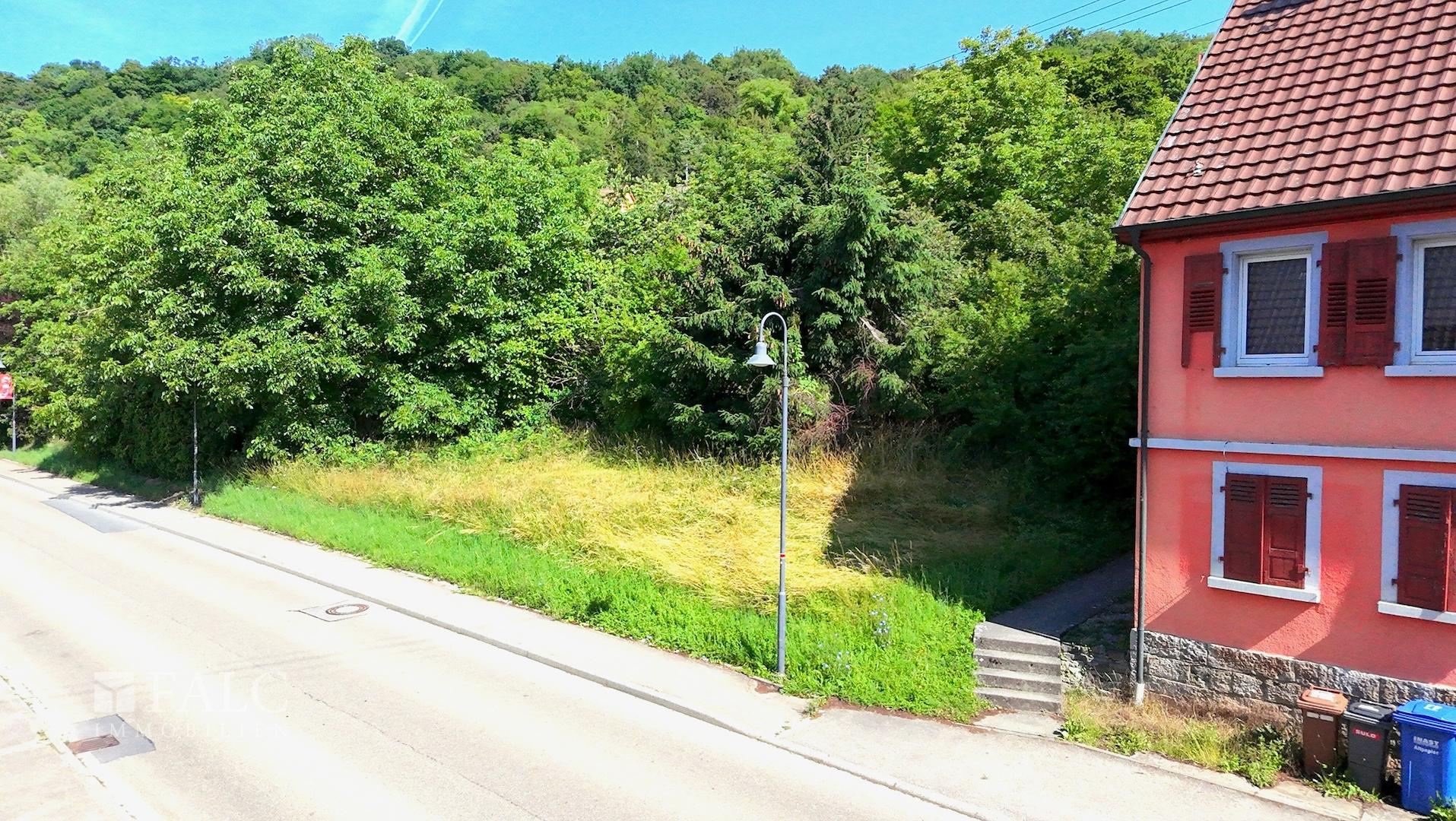 Planen - Bauen - Einziehen!