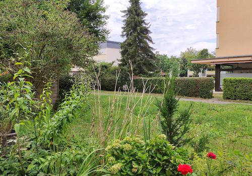 Der gepflegte grüne Blumengarten an der Nordseite des Hauses