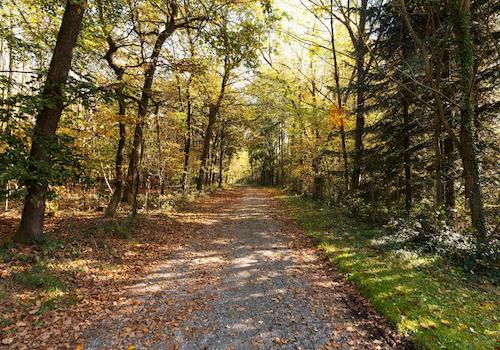 Die Zufahrtsstraße zum Grundstück am Ende der Sackgasse