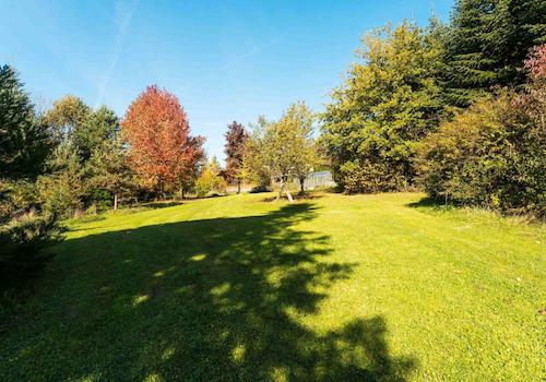 Das große Grundstück mit vielen Wiesenflächen