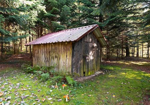 Die Hütte im Wald als weitere Lagermöglichkeit