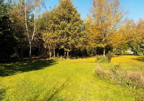 Weitere Wiesenflächen mit Zugang zum eigenen Wald