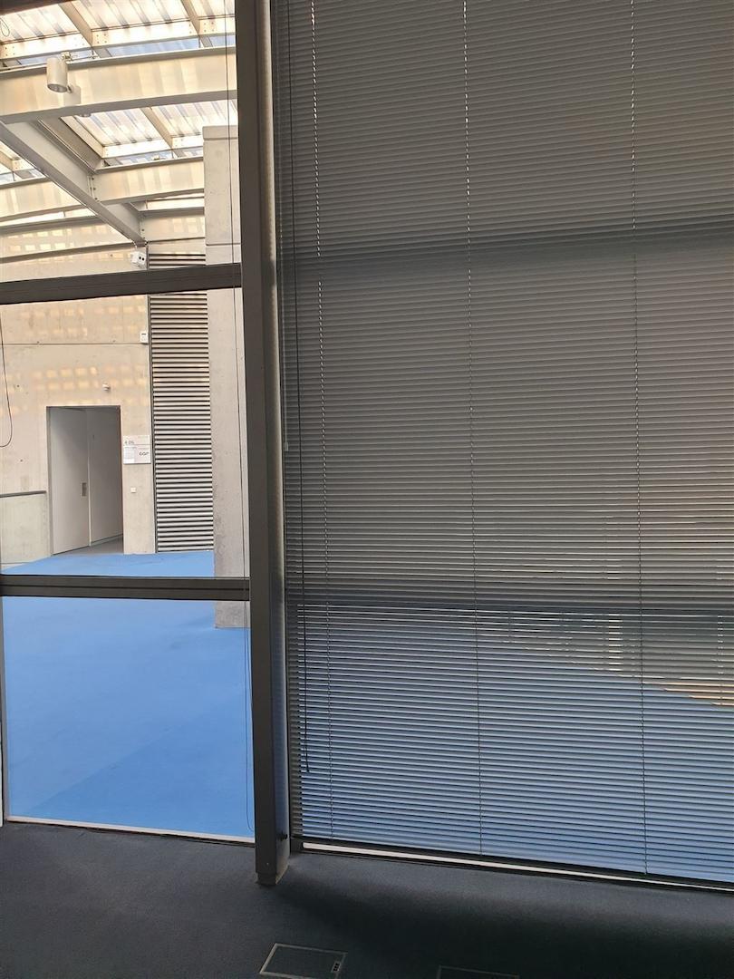 Blick aus dem Büro