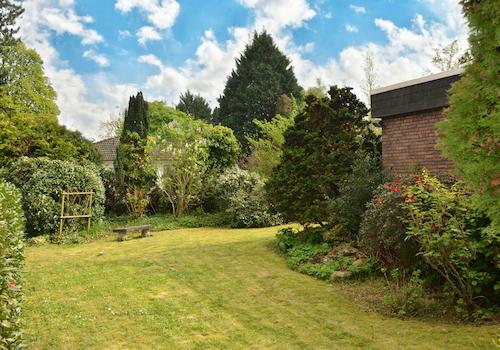 Gepflegter Gartenbereich