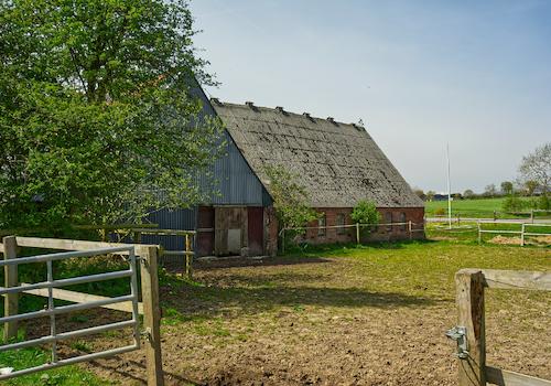 Stallungen Rückansicht