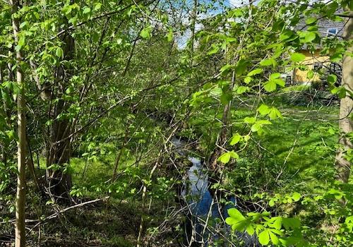 Rosenhainer Wasser (1)