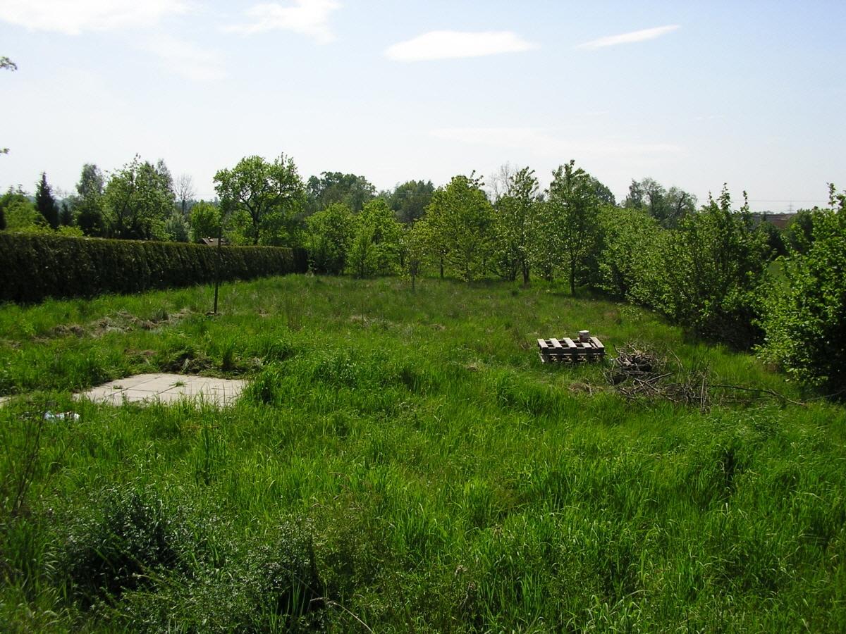 Blick auf das Grundstück Richtung Süden