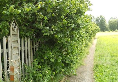 westliche Grundstücksgrenze