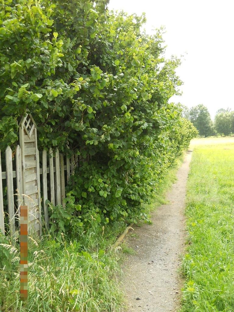 westliche Grundstücksgrenze