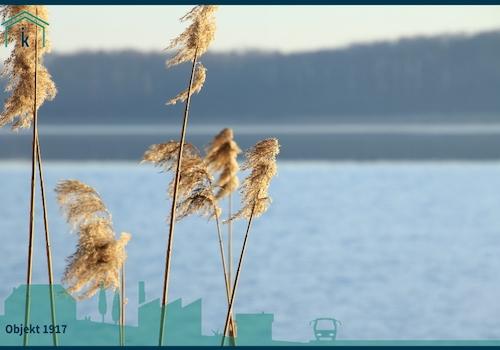 1917 Blick über den See 