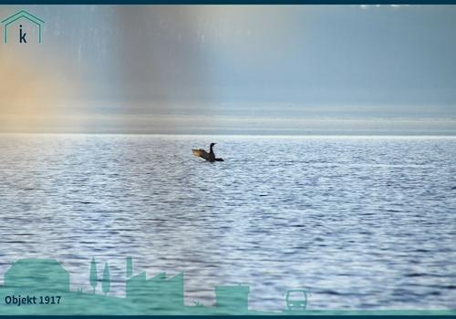 1917 Blick über den See viele Eindrücke