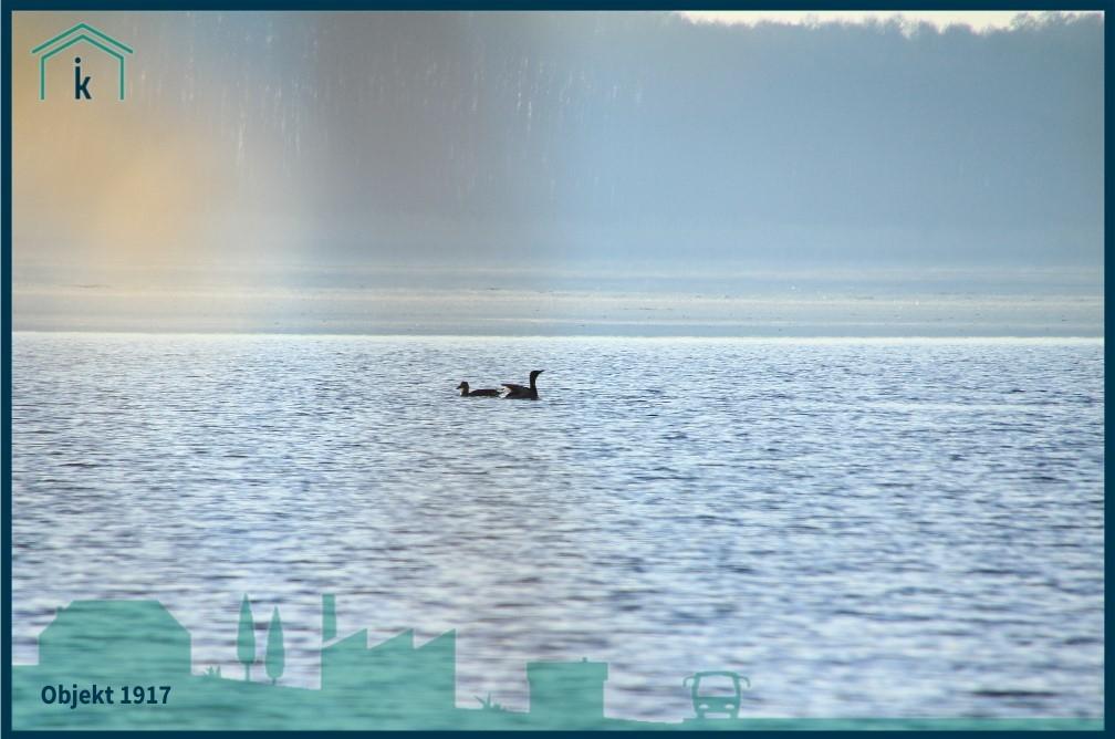 1917 Blick über den See Naturschauspiele inklusive