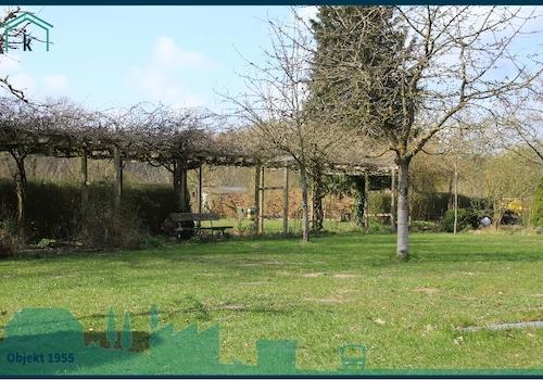 1955 Garten wie ein Park