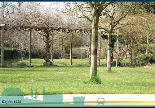 1955 Der Frühling kommt