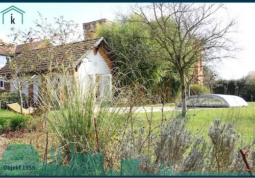 1955 Blick durch den Garten