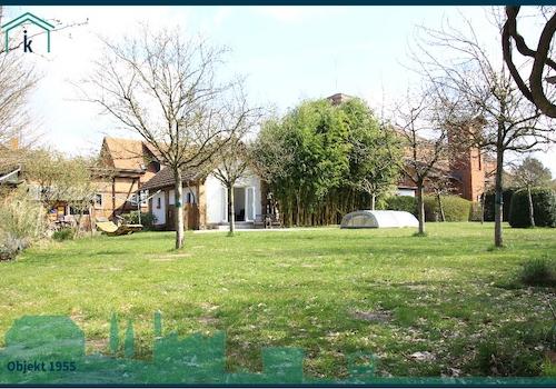 1955 Viel Platz, viele Möglichkeiten