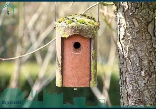 1955 so viele Details