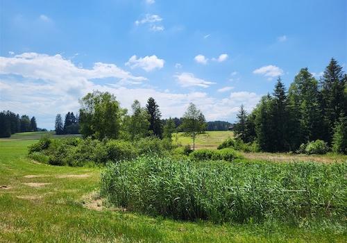 zum Grundstück Richtung Süden