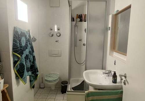 Gästebad mit Dusche