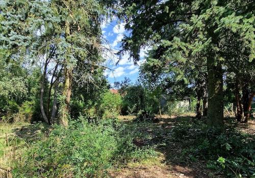 Blick auf`s Grundstück