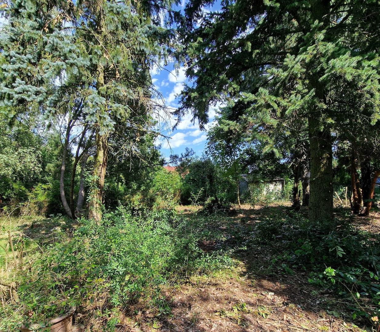 Blick auf`s Grundstück