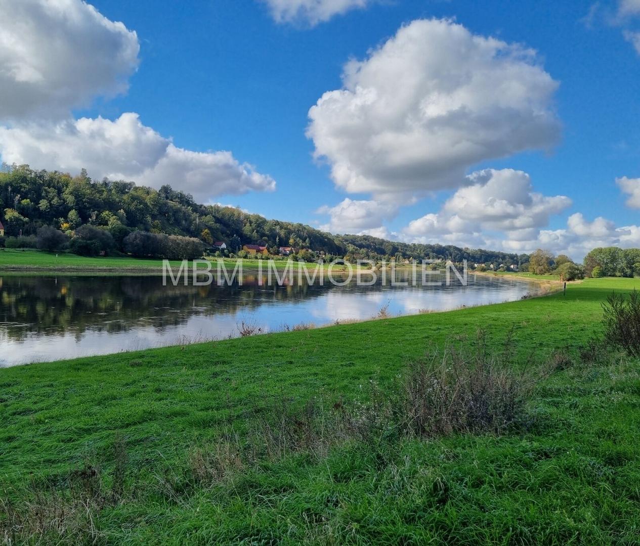 Traumhafter Blick zur Elbe