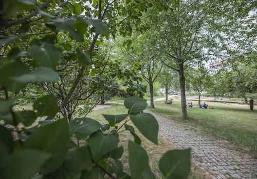 Umgebung Möbiusplatz