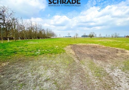 ...auslaufend als Grünfläche