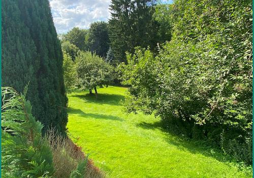 Baum- und Strauchbestand: Idylle wie im Urlaub