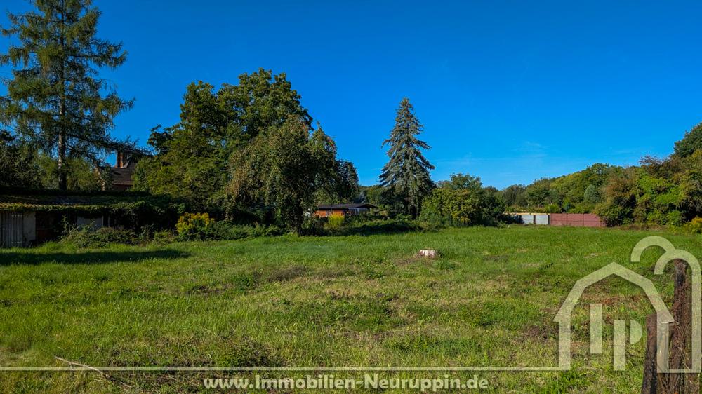 Blick aufs Grundstück