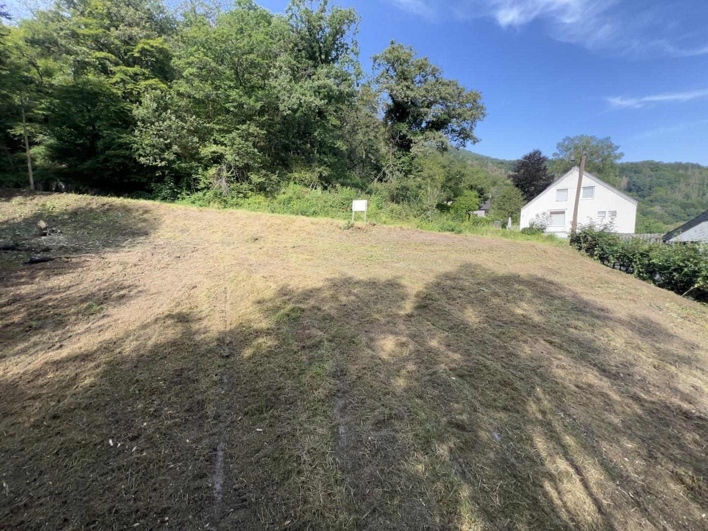 Grundstücksansicht 2