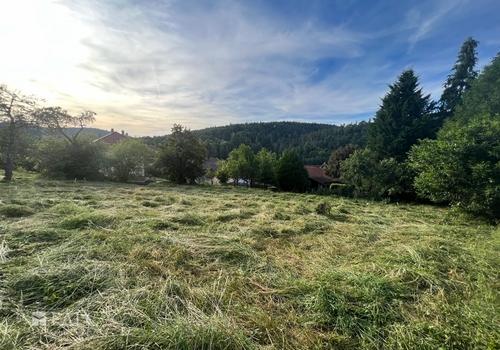 ...mit Ausblick ins Würmtal