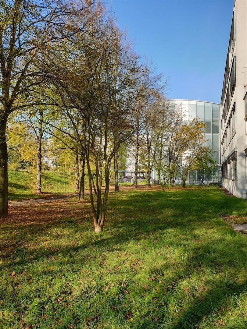 Der Tec-Tower aus Sicht der Aussen-Parkplätze