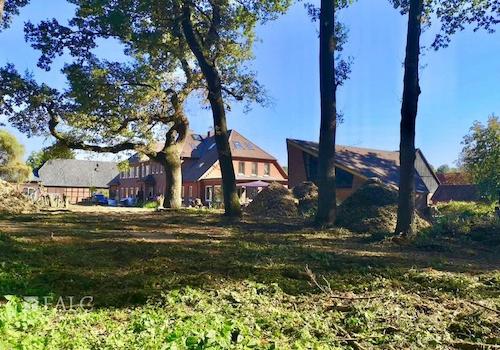 Garten mit Baumbestand