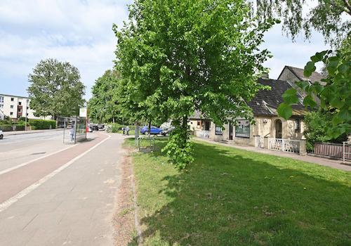 Blick Grünstreifen und Bushaltebucht